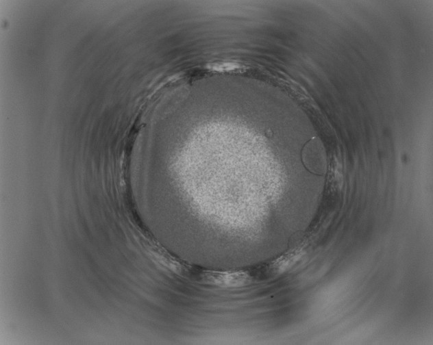 X0000065250663200603031805