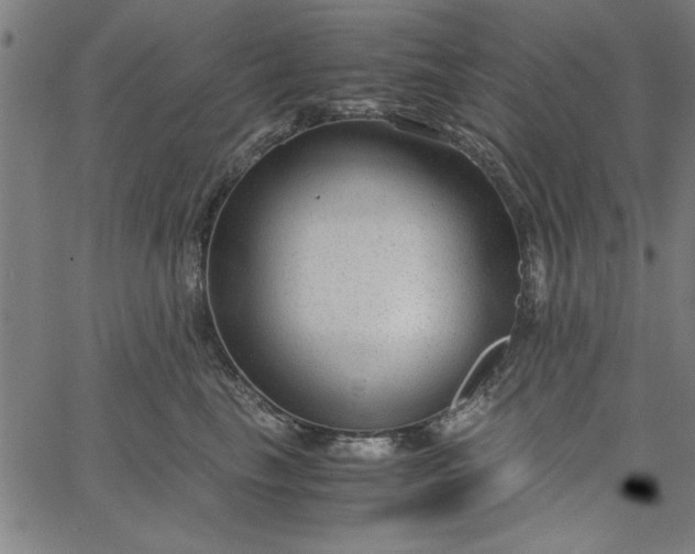 X0000065250665200603031805