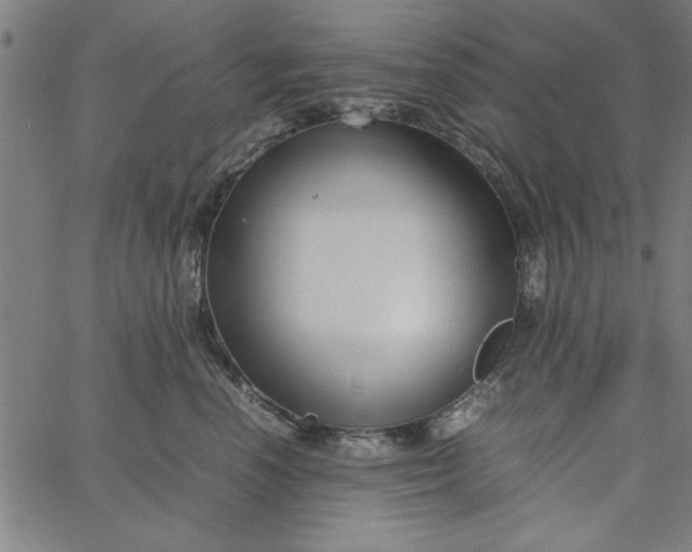 X0000065250666200603031805