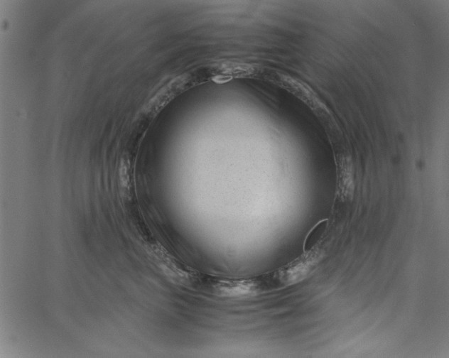 X0000065250667200603031805