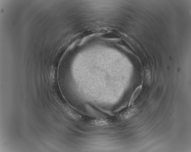 X0000065250668200603031805