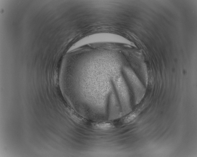 X0000065250669200603031805