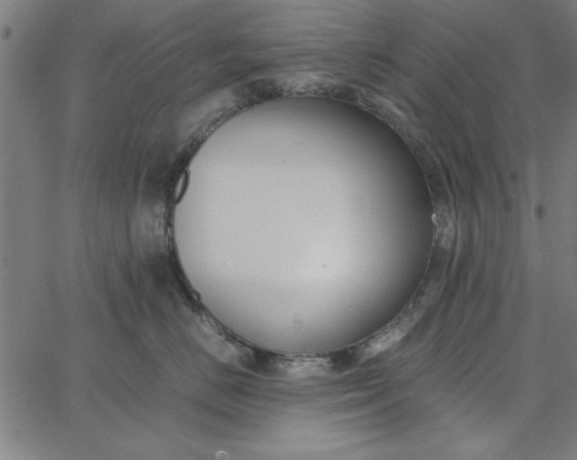 X0000065250670200603031805