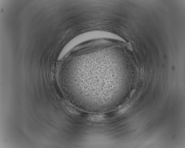 X0000065250671200603031805