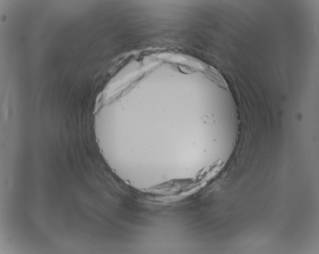 X0000065250672200603031805