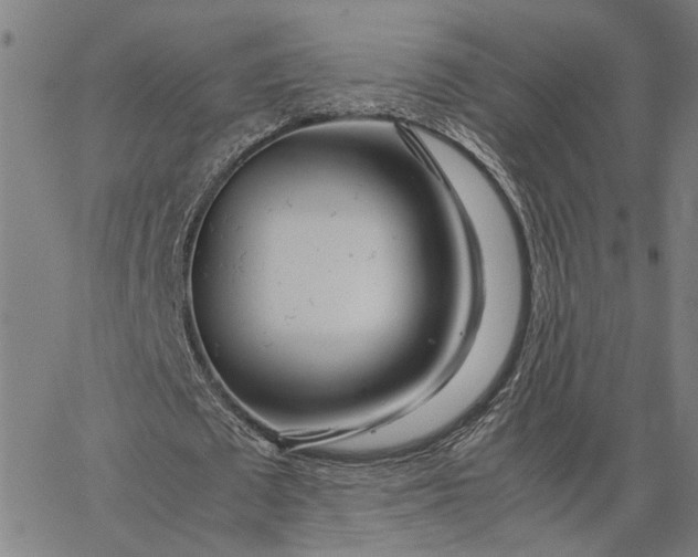 X0000065250673200603031804