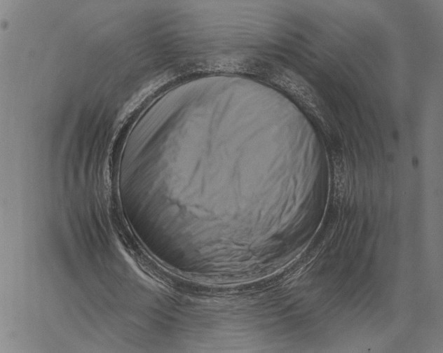 X0000065250674200603031804