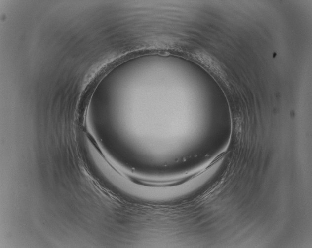 X0000065250676200603031804