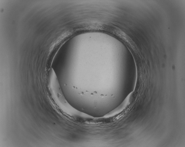 X0000065250677200603031804