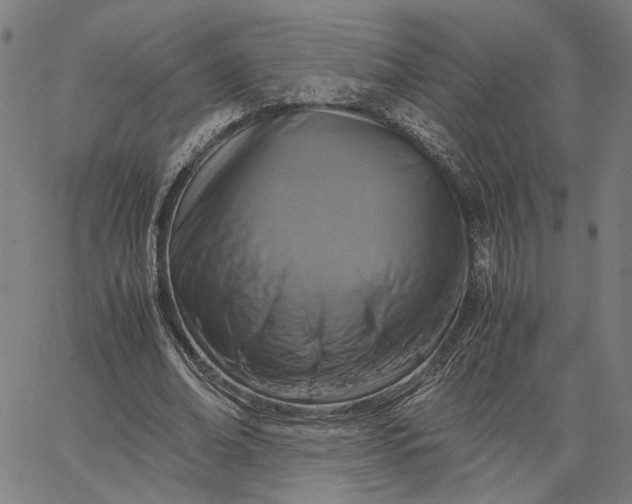 X0000065250678200603031804