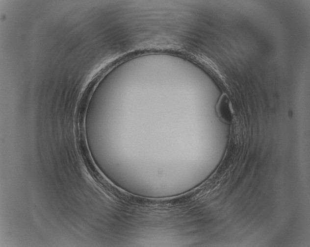 X0000065250680200603031804