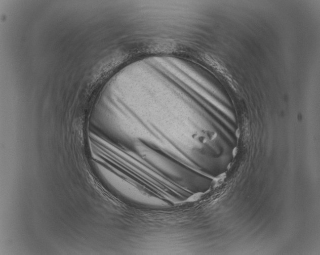 X0000065250681200603031804