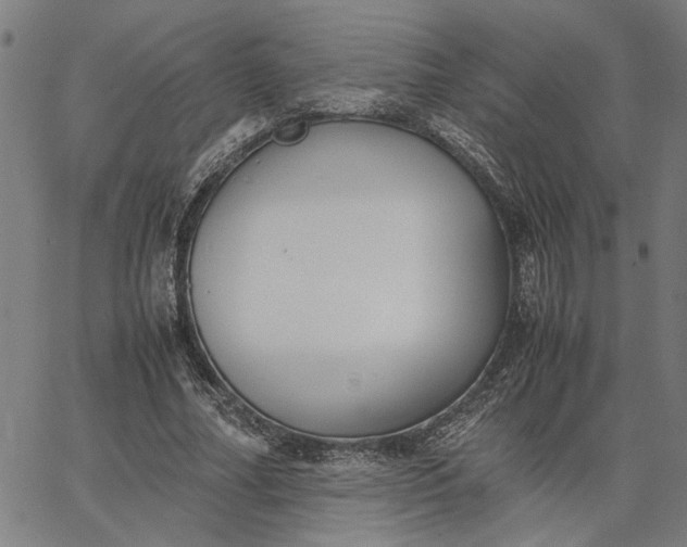 X0000065250682200603031804