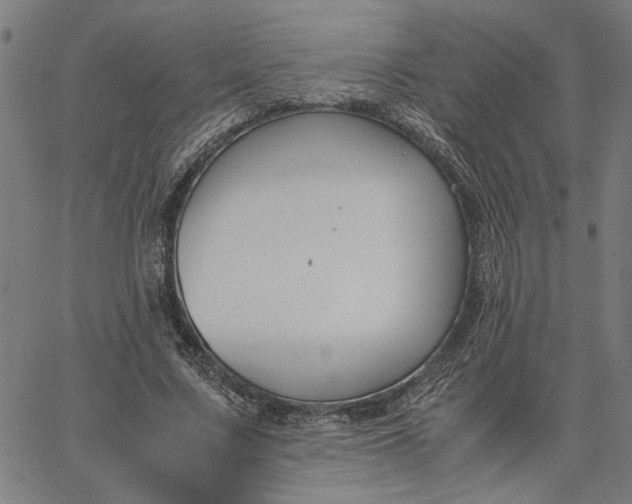 X0000065250683200603031804