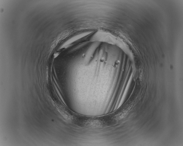 X0000065250685200603031804