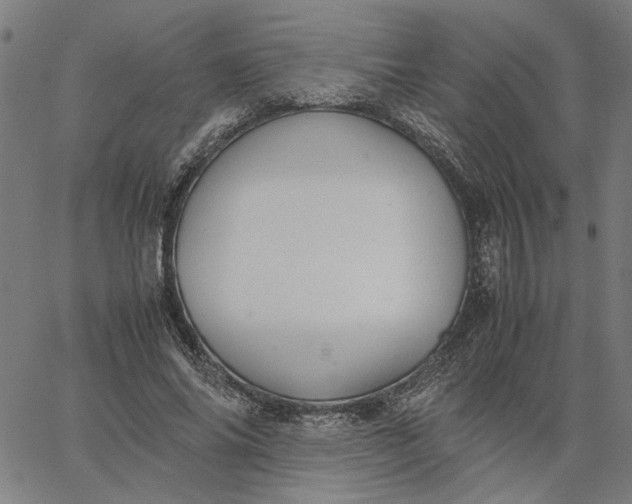 X0000065250686200603031804