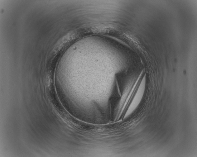 X0000065250687200603031804