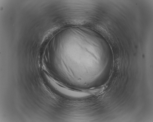 X0000065250688200603031804