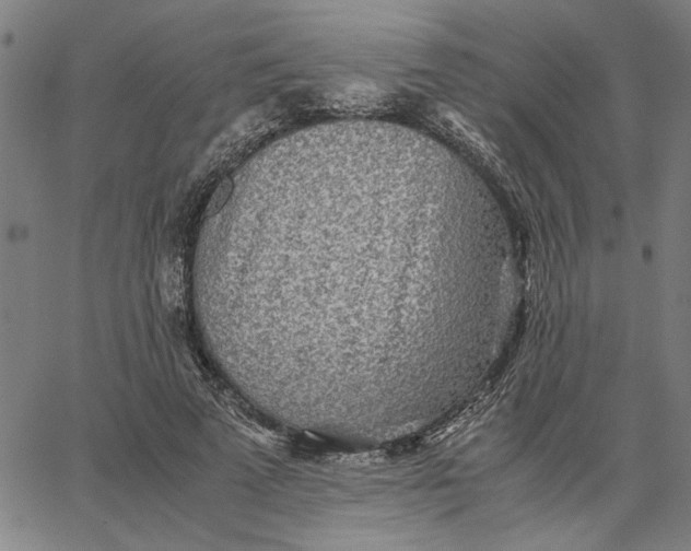 X0000065250689200603031804