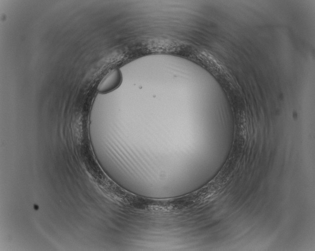 X0000065250690200603031804