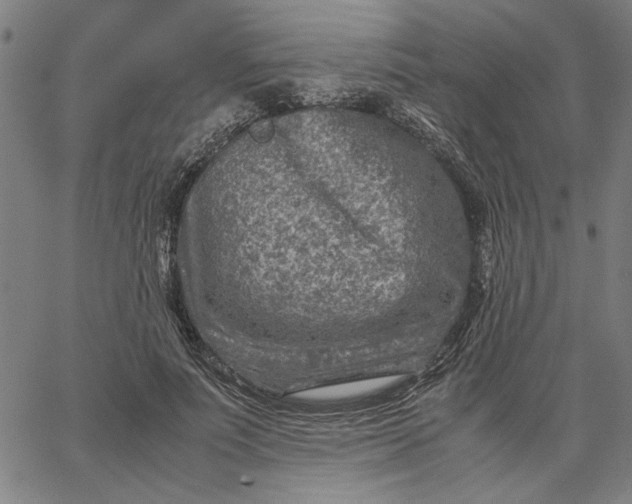 X0000065250691200603031804