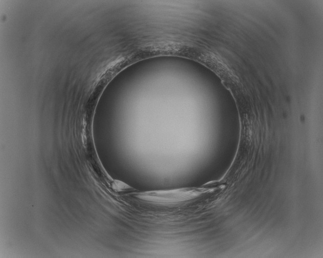 X0000065250692200603031804