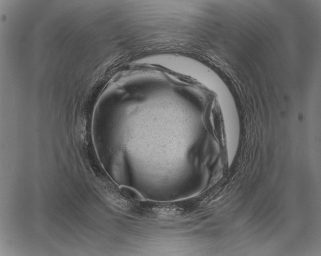 X0000065250693200603031804