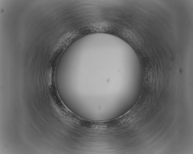 X0000065250694200603031804