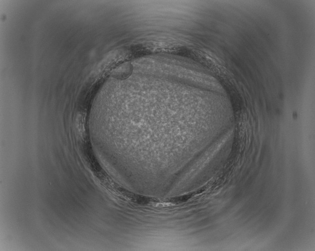 X0000065250695200603031804