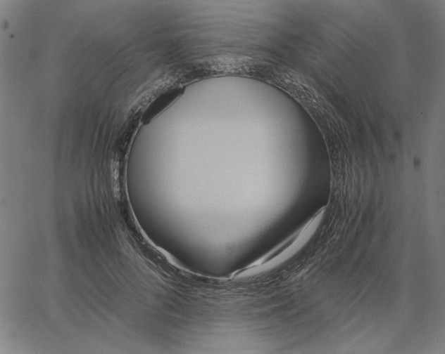 X0000065250696200603031804