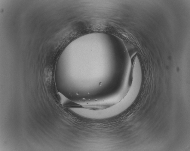 X0000065250697200603031804