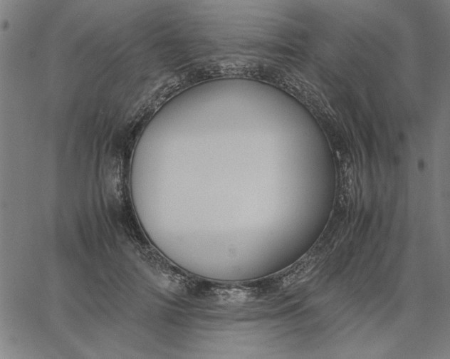 X0000065250698200603031804