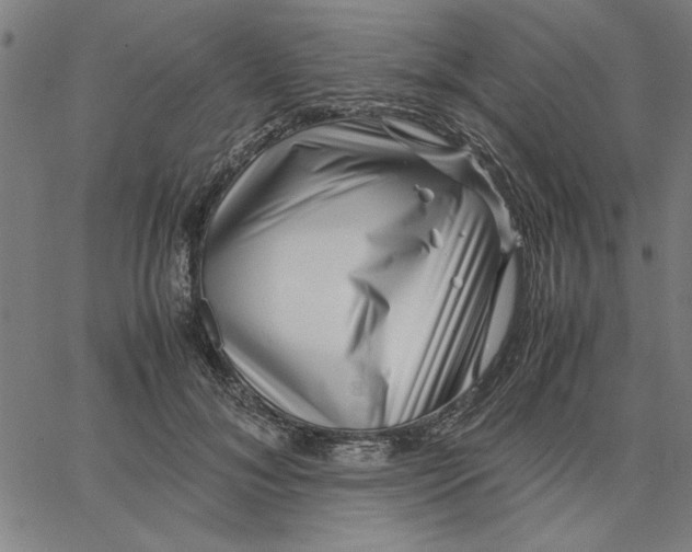 X0000065250700200603031804