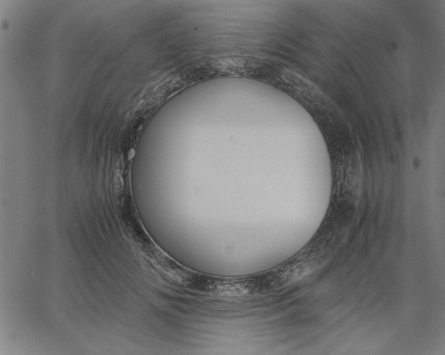 X0000065250702200603031804