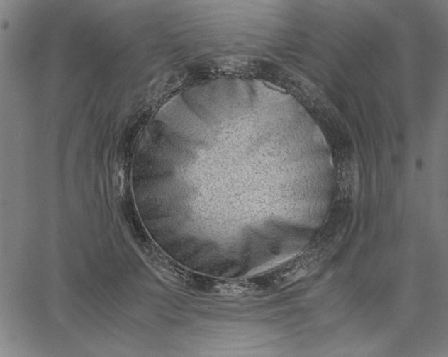 X0000065250703200603031804