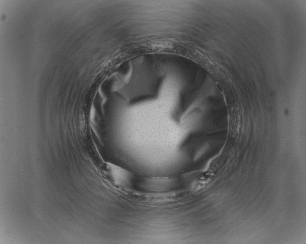 X0000065250704200603031804