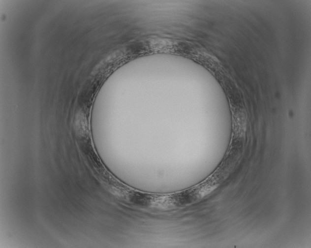 X0000065250705200603031804