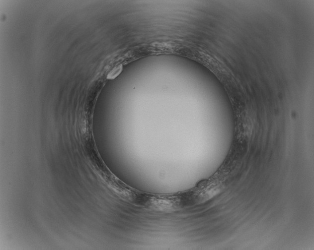 X0000065250706200603031804