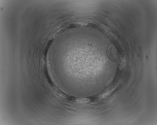 X0000065250707200603031804