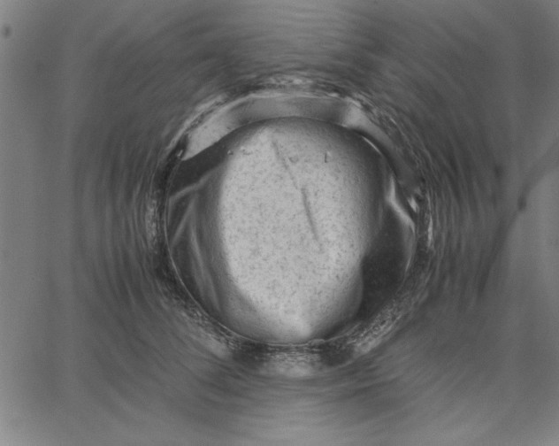 X0000065250708200603031804