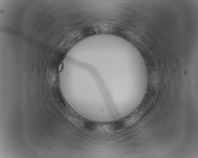 X0000065250709200603031803