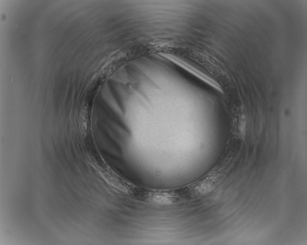 X0000065250710200603031803