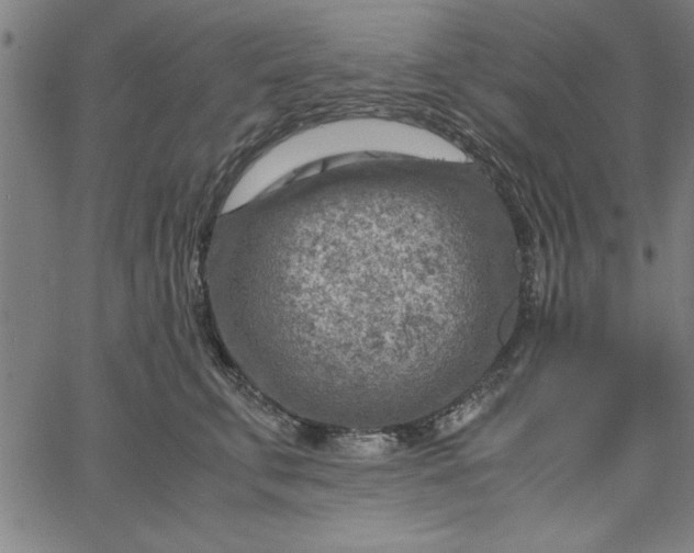 X0000065250711200603031803