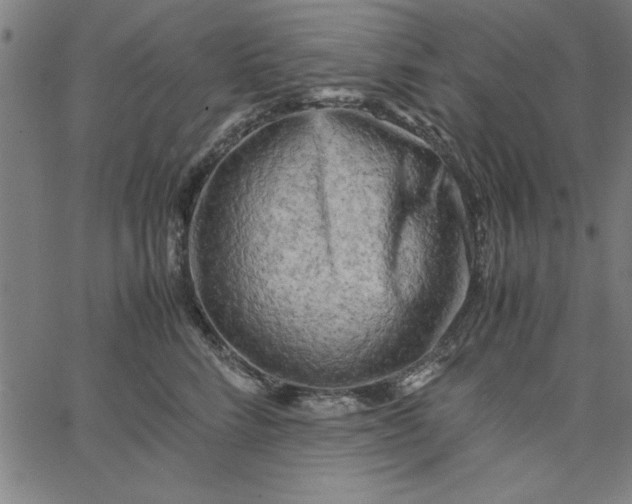 X0000065250712200603031803