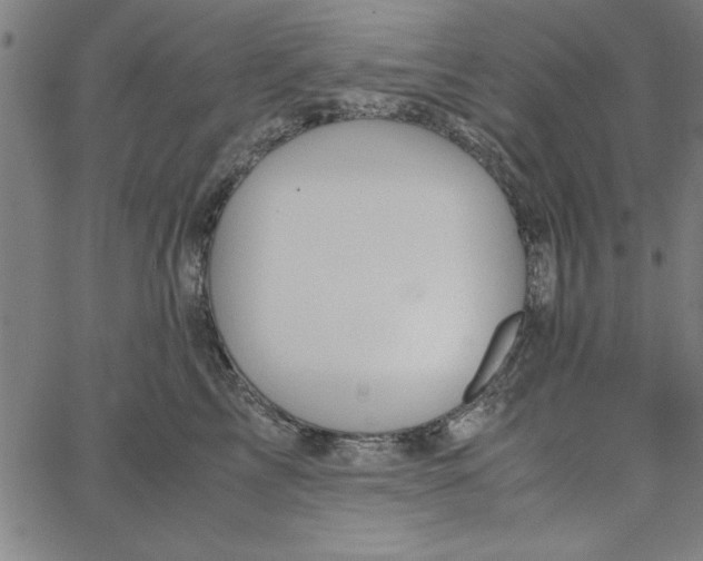 X0000065250713200603031803