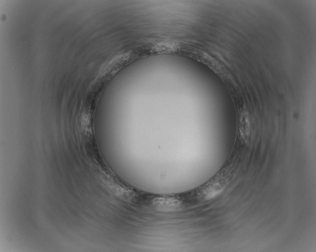 X0000065250714200603031803