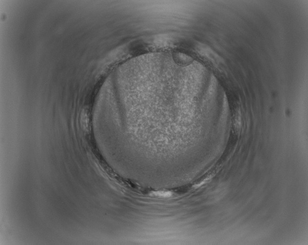 X0000065250715200603031803