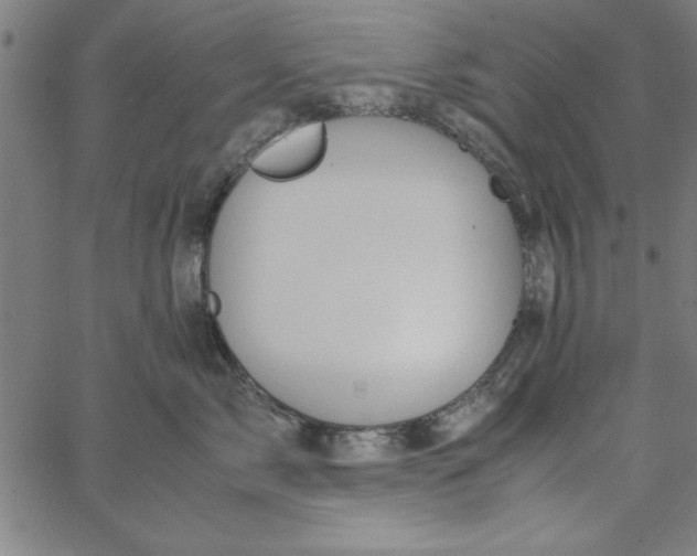 X0000065250717200603031803