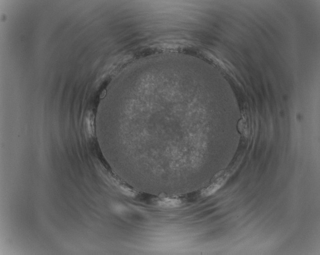 X0000065250718200603031803