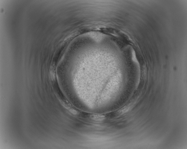 X0000065250719200603031803